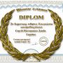 Чернігівця нагородили німецьким «Вінком слави»