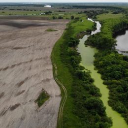На Чернігівському антикорупційному форумі говорили про екологію