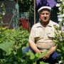 Дурман проти інсульту. Стверджує травознай із Чернігівщини