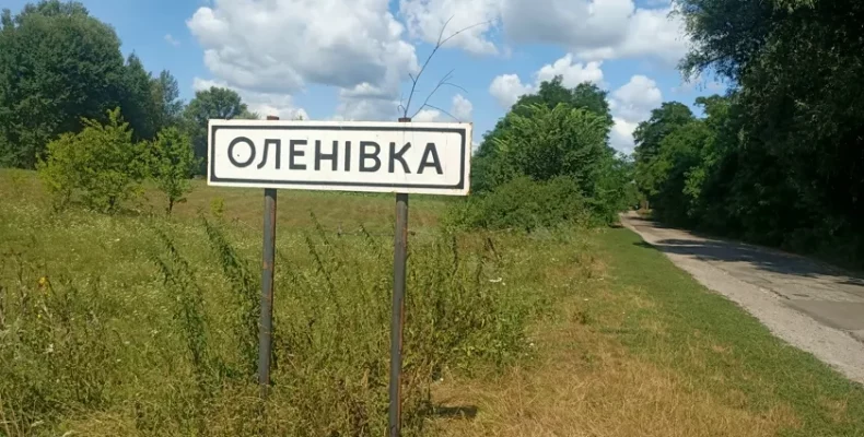 Як фермери з Півдня розвивають овочівництво на Чернігівщині