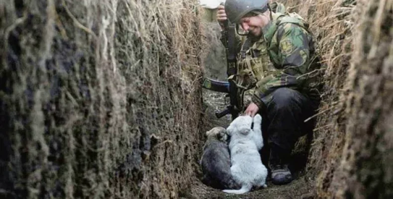 Боєць із Чернігівщини розповів чому він на війні