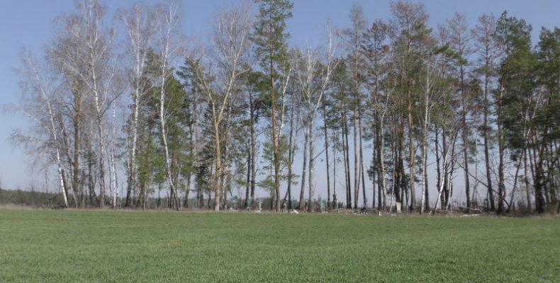 Село зникло, а на місці хат росте збіжжя всемогутніх латифундій