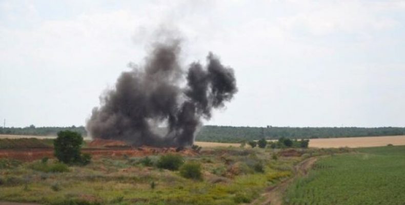 Хлібне поле рятують українські воїни