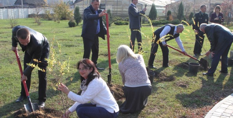 Лісівники Чернігівщини та Гомельщини висадили пам’ятні «саджанці»