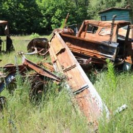 Лісництво на Чернігівщині, яке пошкоджене під час окупації, відбудовуватимуть