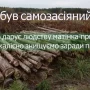 Проблему щодо збереження самосійних лісів обговорили на Чернігівщині