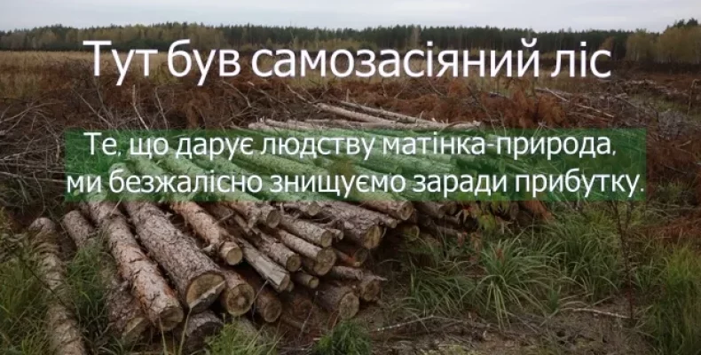 Проблему щодо збереження самосійних лісів обговорили на Чернігівщині