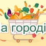 Якісні сорти цибулі створили селекціонери Чернігівщини