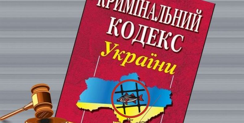 За незаконну риболовлю браконьєр отримав рік і шість місяців