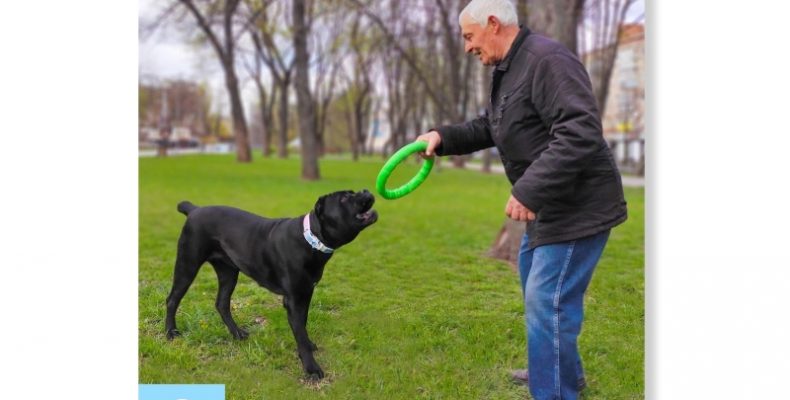 Чернігівський кінолог із своєю підопічною — нерозлийвода