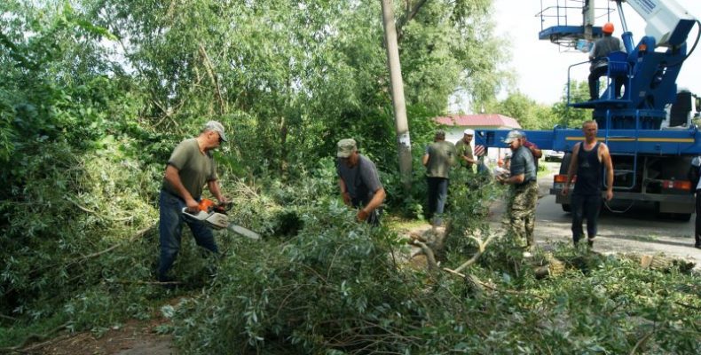 Турботу про рідний край не заміниш вишитим рушником