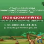 Про незаконні рубки лісу можна повідомити на «гарячу лінію»