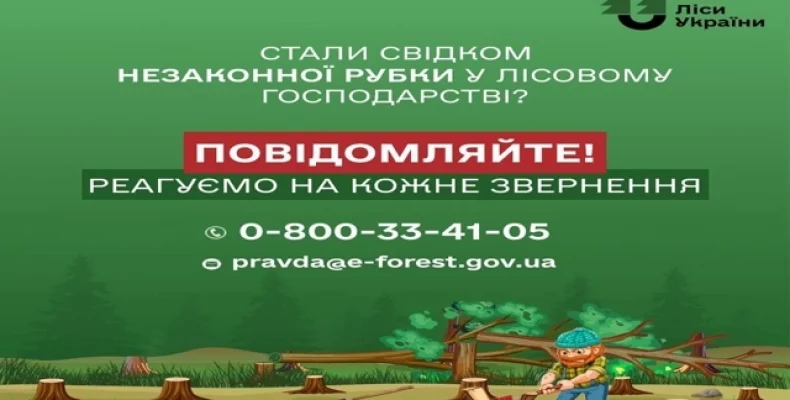 Про незаконні рубки лісу можна повідомити на «гарячу лінію»