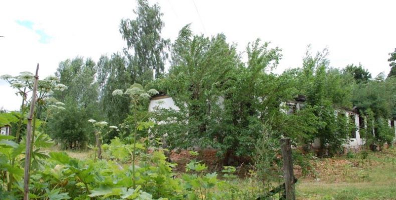 Генпрокуратура візьметься за голову Любецької ОТГ Пінчука