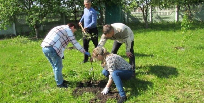 20% природоохоронних територій України — під загрозою зникнення