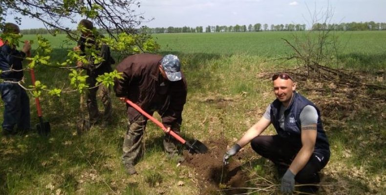 Польові лісосмуги відновлюють на Ніжинщині