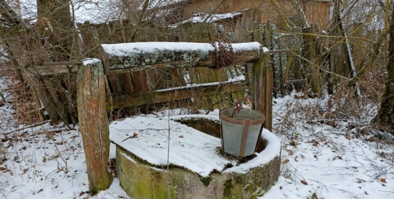Відродити село прагне Максим Соловар із Новгород-Сіверщини