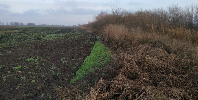 Через розорювання прибережних смуг скоро залишимося без води!