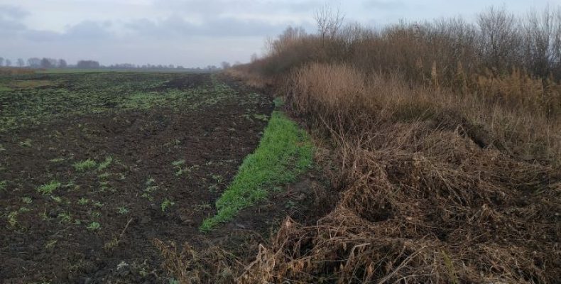 Агрофірми продовжують розорювати прибережні смуги річок