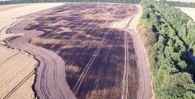 Журналіст з`ясував, чому на Чернігівщині виникають підпали