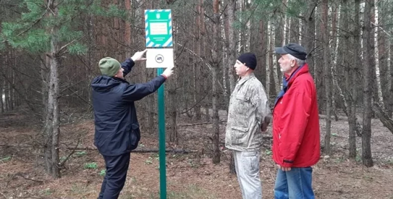 Відстріл диких свиней при виявленні чуми — не прийнятний