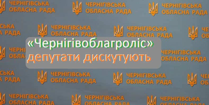 В Чернігівській облраді активно дискутували про агроліси. Відео