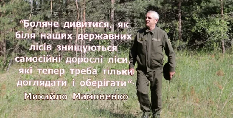 Державне підприємство отримало на Чернігівщині ділянки для відтворення лісів