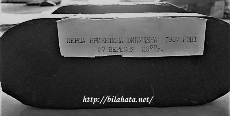 Міністра зняли, бо лобіював інтереси з продажу ДП «Чернігівторф»