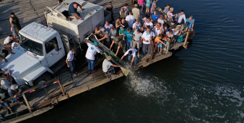 Короп, амур і товстолоб: як на Чернігівщині рятують водойми