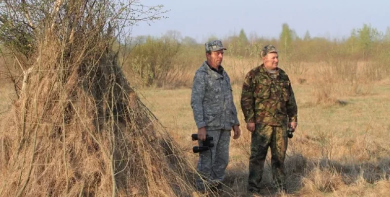 Тетеруки — птахи, які збереглися лише на Поліссі