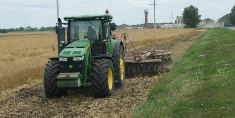 Перші жнива на Чернігівщині завершили за тиждень