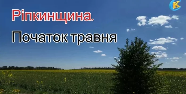 Пробудження природи на Чернігівщині. Відео
