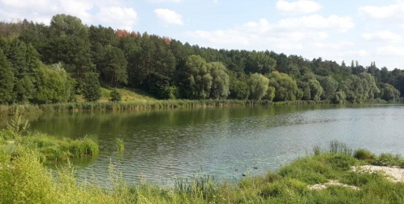 Ялівщина: влада проштовхує свого директора, а громадськість проти непрофесіонала