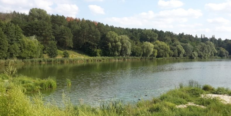 Ялівщина: влада проштовхує свого директора, а громадськість проти непрофесіонала