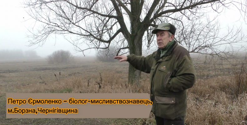Схеми варварського знищення природи розкрив біолог із Чернігівщини
