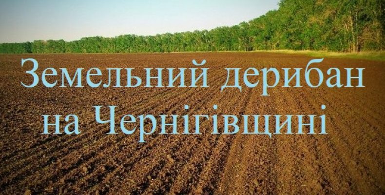 Чернігівщина: Про земельний дерибан у Плисках