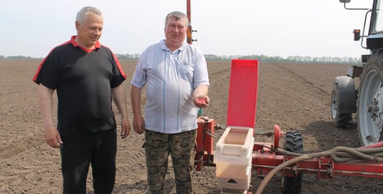 На Чернігівщині розпочали посів пріорітетної культури