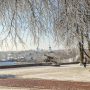 Ось як працює насправді взимку «Зеленбуд» у Чернігові