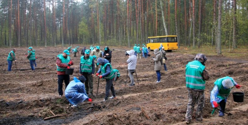 Чернігівщина взяла участь у природничій Всеукраїнській акції