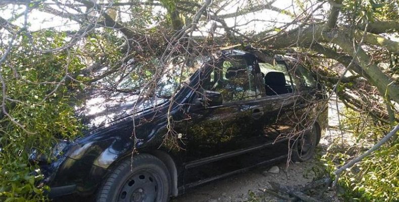 На 6 років позбавили волі водія, який скоїв смертельне ДТП