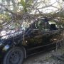 На 6 років позбавили волі водія, який скоїв смертельне ДТП