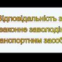 Заволодів чужим автомобілем вперше — пробачать