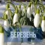 37º морозу було зафіксовано на Чернігівщині у березні