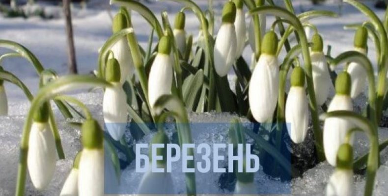 37º морозу було зафіксовано на Чернігівщині у березні