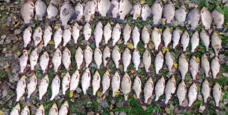 «Рибалки» завдали природі збитків на 6 тисяч гривень