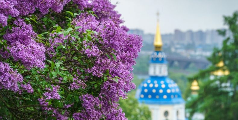 У книзі цій – сама суть, квінтесенція всієї творчості письменниці!