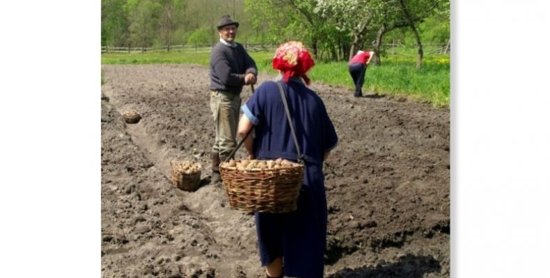 Ринок землі давно вже треба було запровадити в Україні. І ось чому