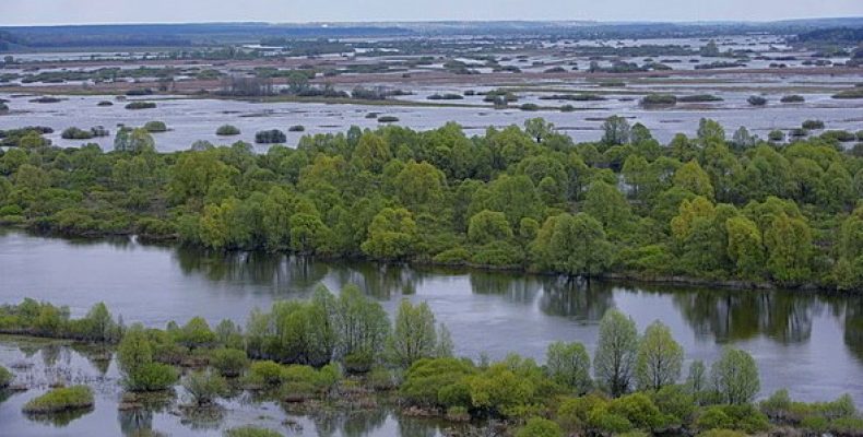 Ювілей великої повені у Чернігові