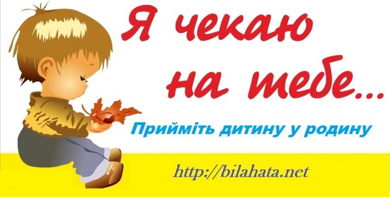 Міністр розповів як усиновити дитину