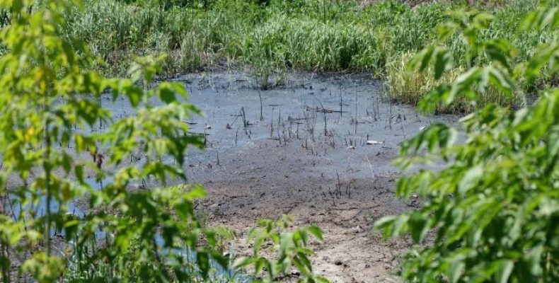 Чернігівщина: нечистоти з колонії потрапляють у грунт без очищення